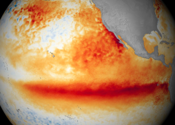 Na imagem de satélite, as cores laranja e vermelha indicam temperaturas superiores à média no oceano Pacífico, típicas do El Niño
(Imagem: Noaa)