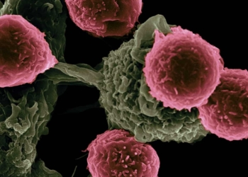 Imagem ilustrativa (Foto: National Cancer Institute)