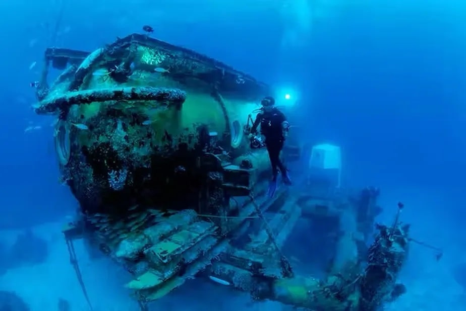 O professor ficará em um habitat subaquático parecido com este (Foto: Mark Conlin/Alamy Banco de Imagens)