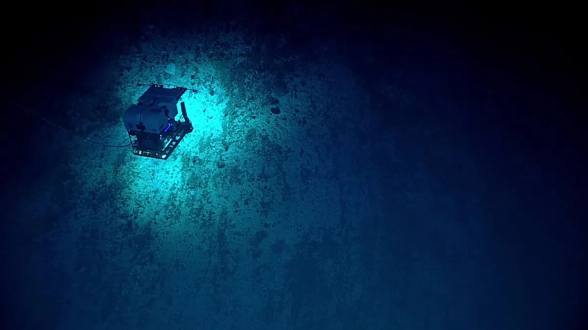 Um submersível se aproxima da parede de um monte submarino dentro da Fossa das Marianas. (Crédito da imagem: NOAA Office of Ocean Exploration and Research, 2016 Deepwater Exploration of the Marianas)