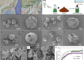 Cientistas criam plástico com enzimas que quase desaparece no fundo do mar em cinco meses 2 Experimentos realizados por cientistas japoneses mostram a degradação de películas de poliéster com enzimas incorporadas após cinco meses a 757 metros de profundidade. Gráficos e imagens microscópicas permitem comparar os materiais modificados com amostras sem enzimas. (Crédito: Huang, Q. et al. / Nature (2026) — DOI: 10.1038/s41586-026-11192-1 — CC BY 4.0.)